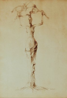 woman tree